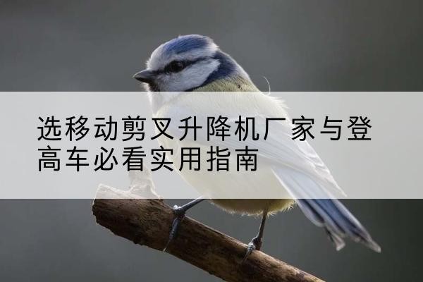弥渡电动升降机厂家-选移动剪叉升降机厂家与登高车必看实用指南