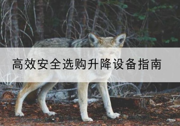 弥渡升降货梯厂家推荐-*安全选购升降设备指南