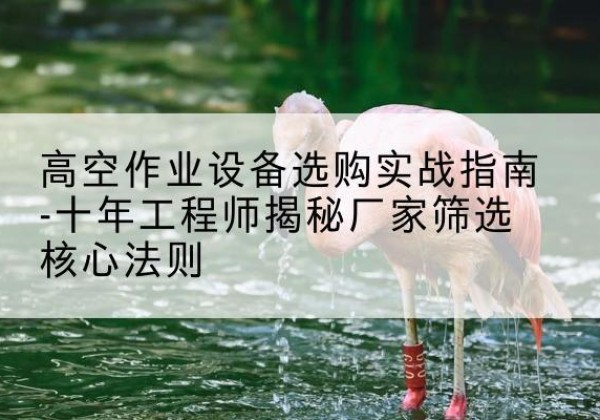 弥渡剪叉式升降机厂家-高空作业设备选购实战指南-十年工程师揭秘厂家筛选核心法则